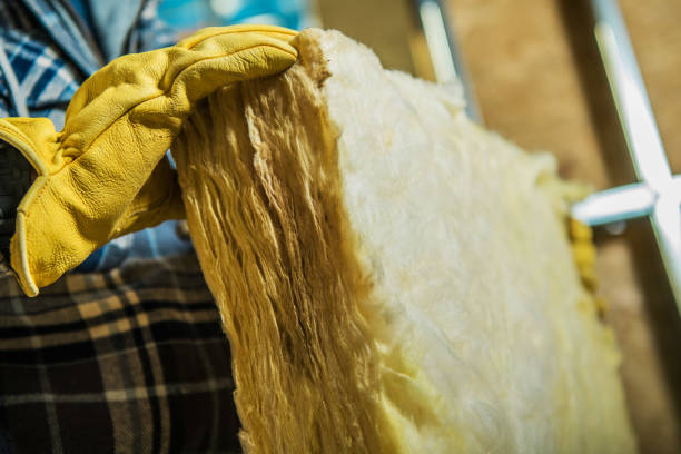 Best Eco-Friendly Insulation in Alpena, MI